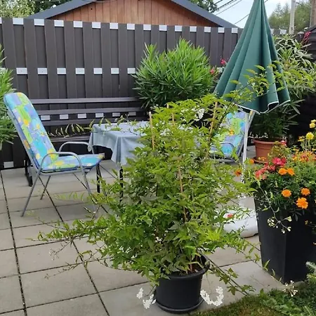 Schaarschmidt Altenberg (Krušné hory)